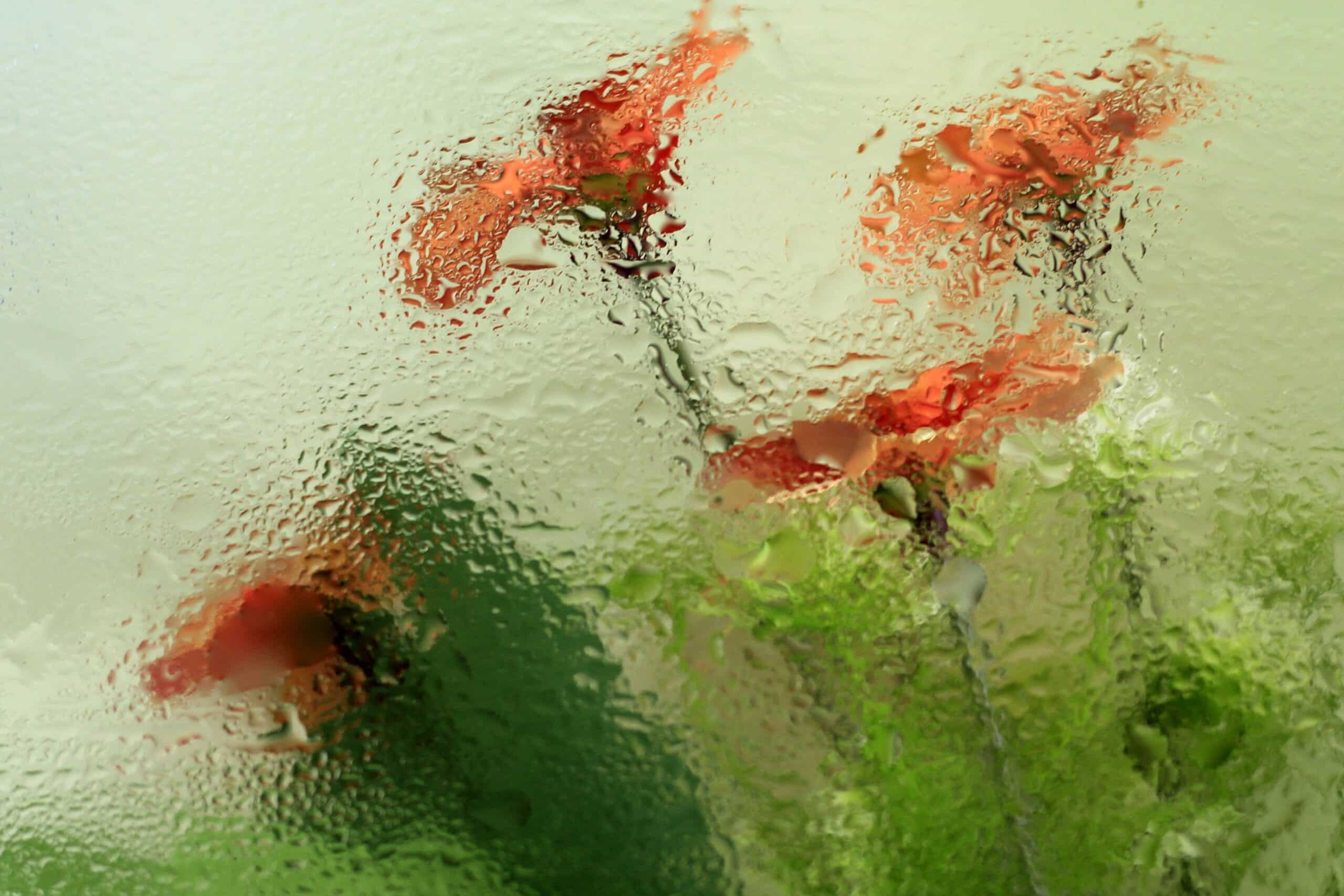 Derealization. Hazy window with red flowers on the other side.